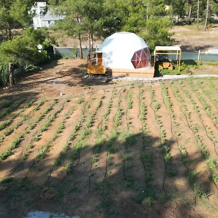Pavlonyaguestfarm Mugla